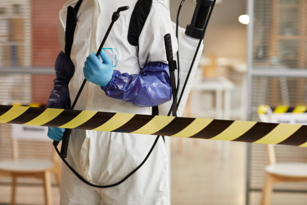 Professional Hoarding Cleanup technician working in Pointblank, TX